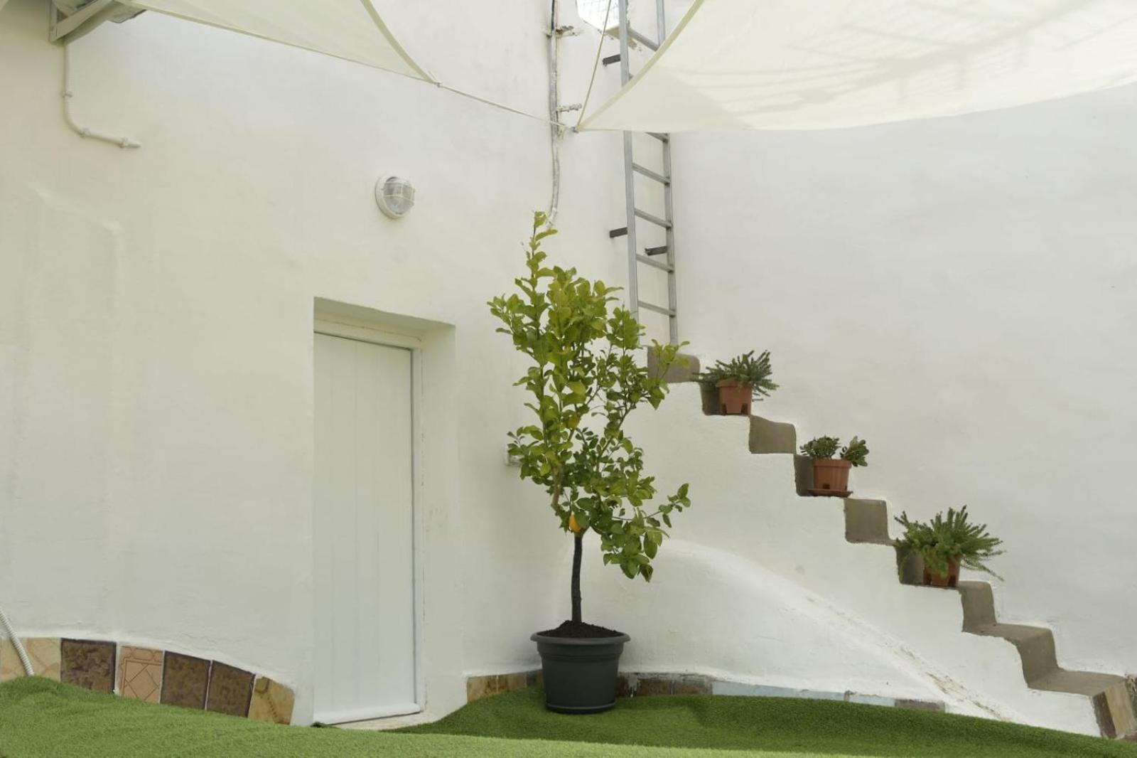 Madre Terra Airport Rooms And Suites Terrasini Exterior photo